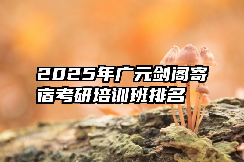 2025年广元剑阁寄宿考研培训班排名
