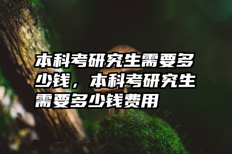 本科考研究生需要多少钱，本科考研究生需要多少钱费用