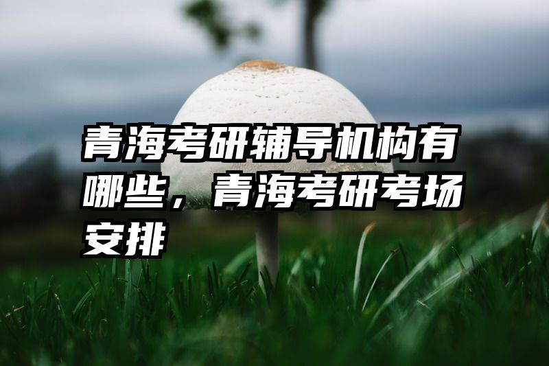 青海考研辅导机构有哪些，青海考研考场安排