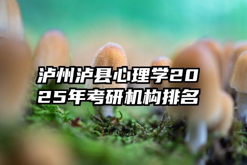 泸州泸县心理学2025年考研机构排名