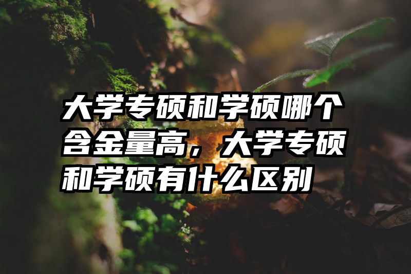 大学专硕和学硕哪个含金量高，大学专硕和学硕有什么区别