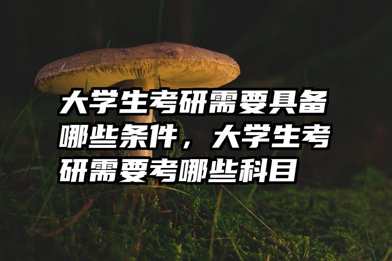 大学生考研需要具备哪些条件，大学生考研需要考哪些科目