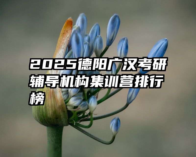 2025德阳广汉考研辅导机构集训营排行榜