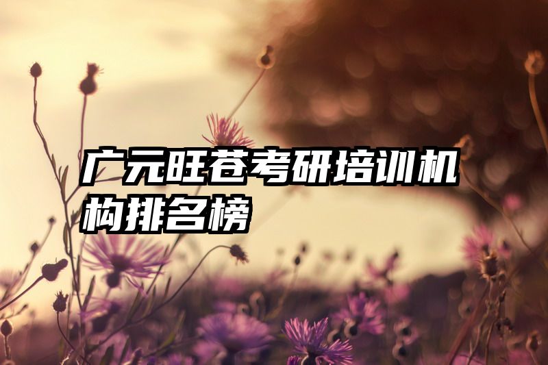 广元旺苍考研培训机构排名榜