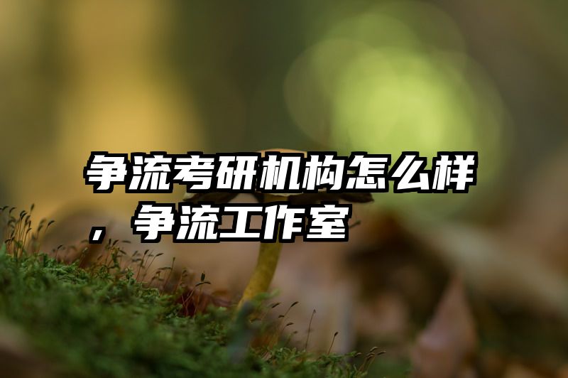 争流考研机构怎么样，争流工作室