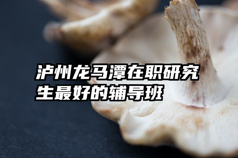 泸州龙马潭在职研究生最好的辅导班