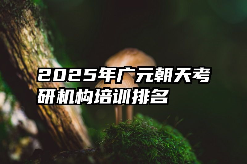 2025年广元朝天考研机构培训排名
