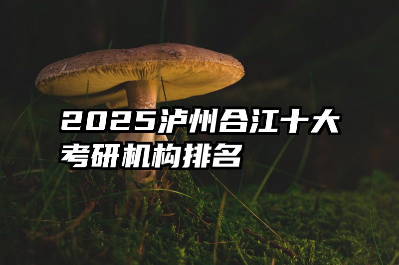 2025泸州合江十大考研机构排名