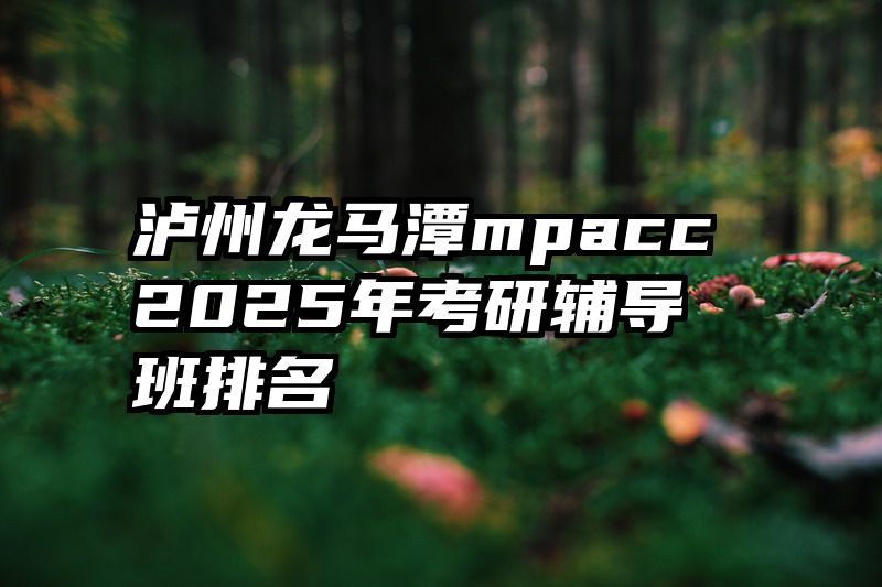 泸州龙马潭mpacc2025年考研辅导班排名