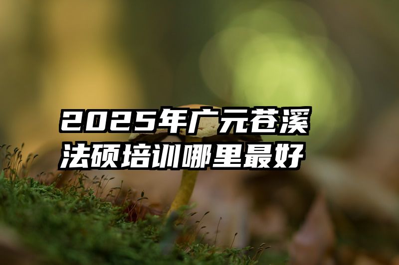 2025年广元苍溪法硕培训哪里最好