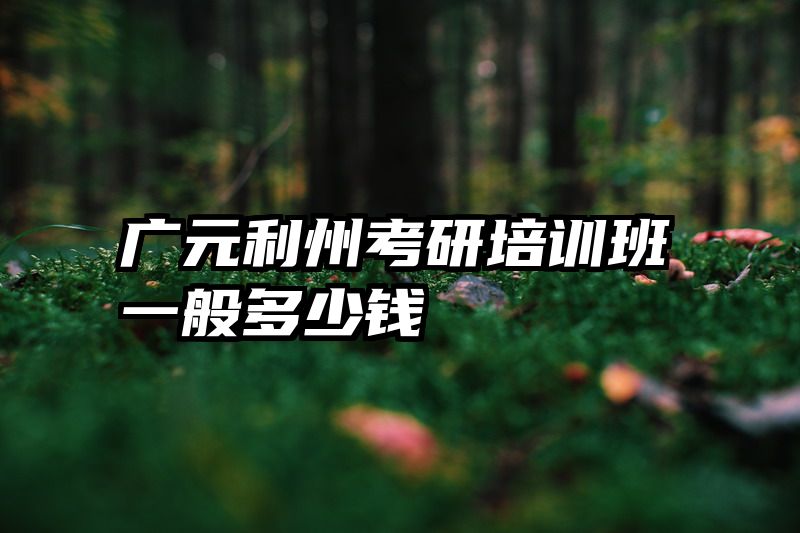 广元利州考研培训班一般多少钱