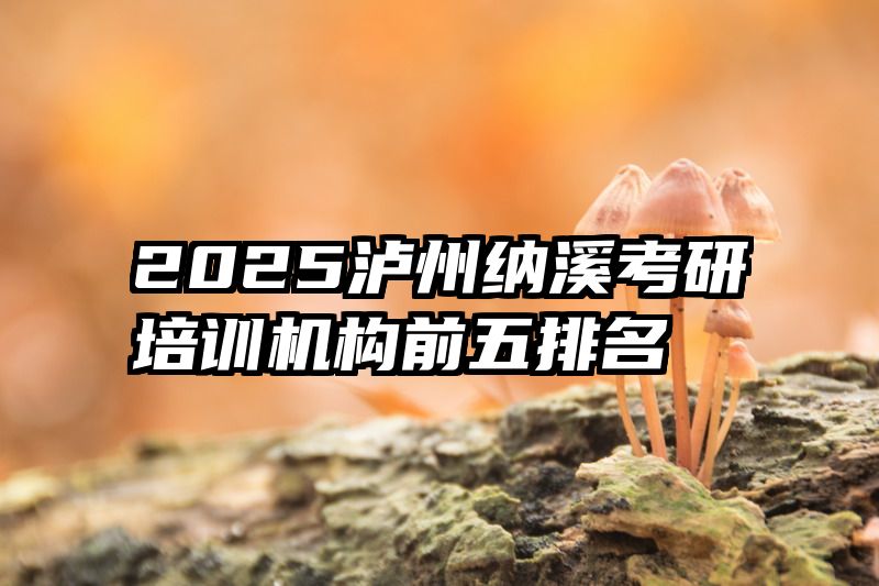 2025泸州纳溪考研培训机构前五排名