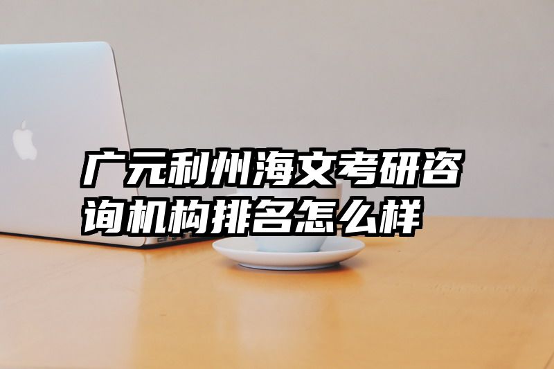 广元利州海文考研咨询机构排名怎么样