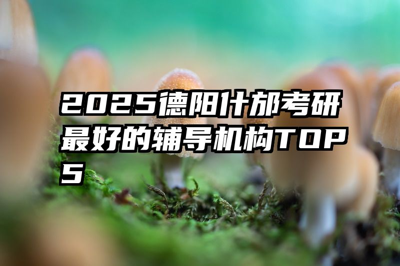 2025德阳什邡考研最好的辅导机构TOP5