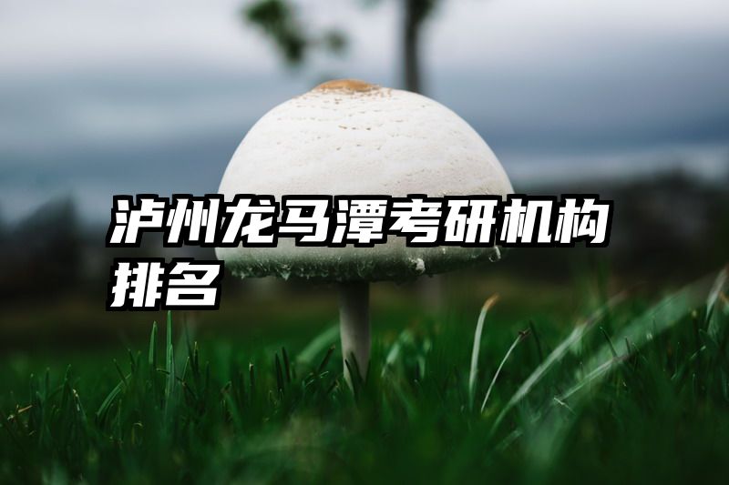 泸州龙马潭考研机构排名