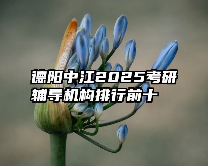 德阳中江2025考研辅导机构排行前十