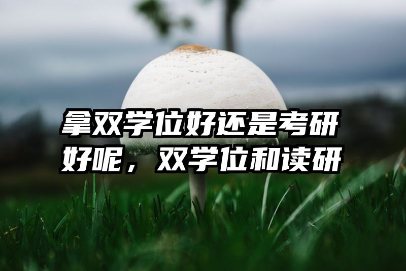 拿双学位好还是考研好呢，双学位和读研