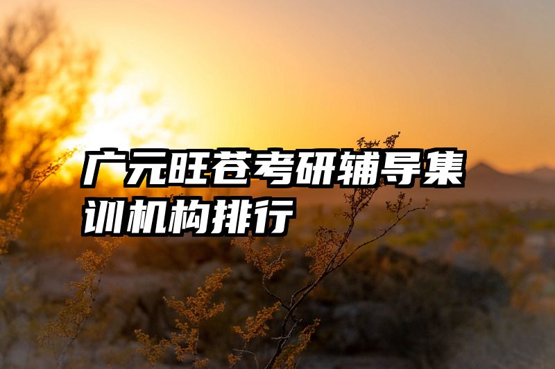 广元旺苍考研辅导集训机构排行