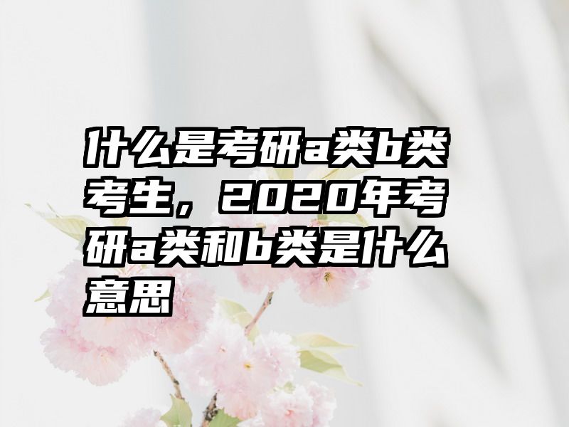 什么是考研a类b类考生,2020年考研a类和b类是什么意思