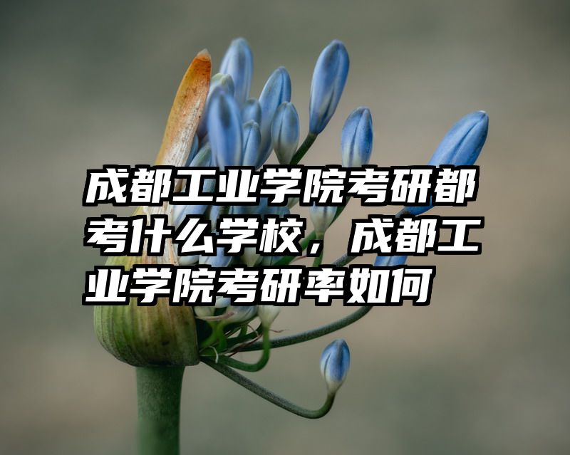 成都工业学院考研都考什么学校，成都工业学院考研率如何