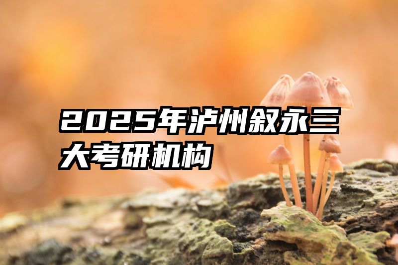 2025年泸州叙永三大考研机构