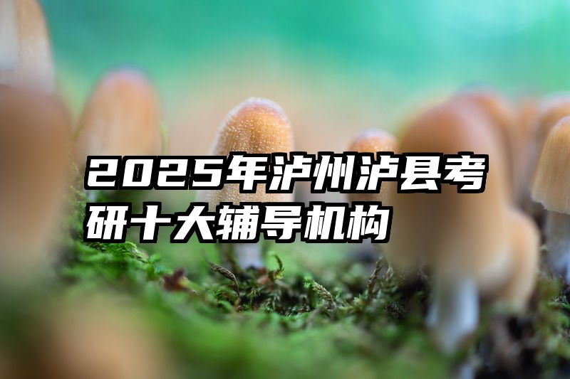 2025年泸州泸县考研十大辅导机构