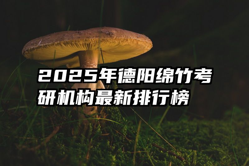 2025年德阳绵竹考研机构最新排行榜