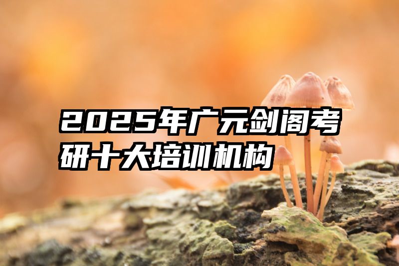 2025年广元剑阁考研十大培训机构
