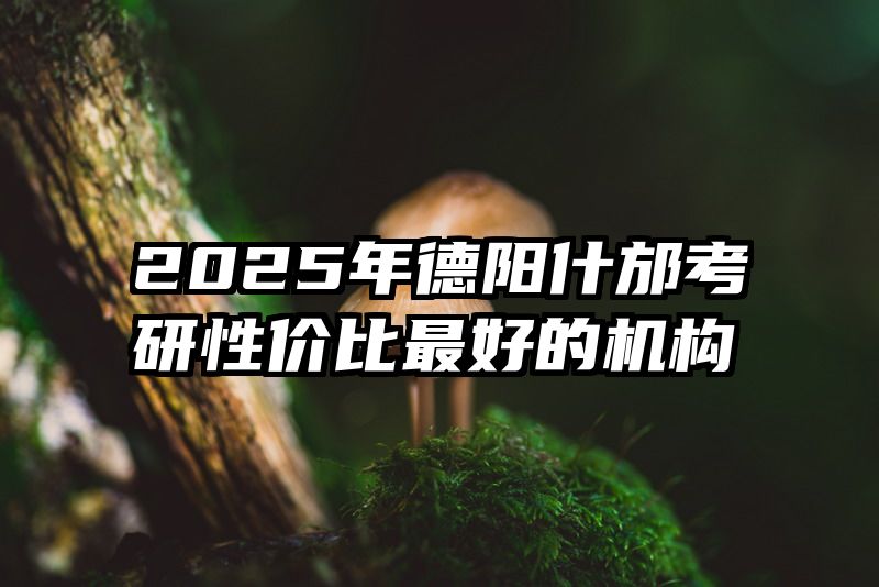 2025年德阳什邡考研性价比最好的机构
