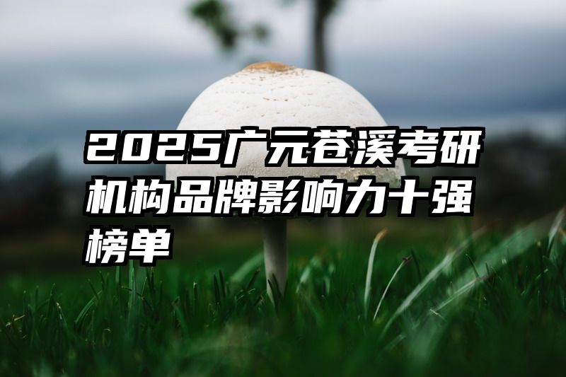 2025广元苍溪考研机构品牌影响力十强榜单