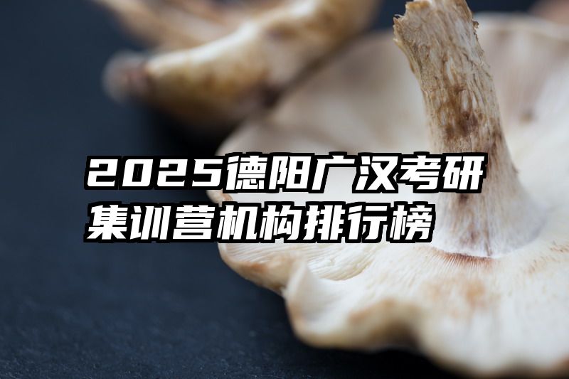 2025德阳广汉考研集训营机构排行榜
