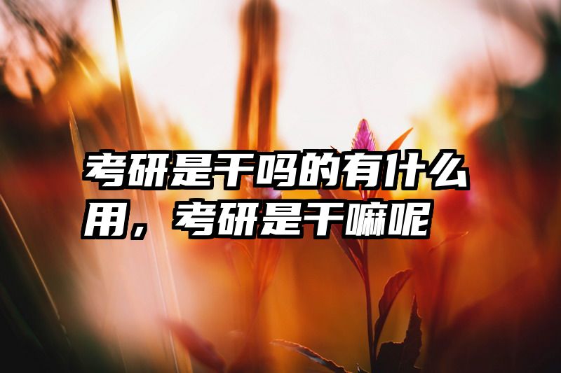 考研是干吗的有什么用，考研是干嘛呢