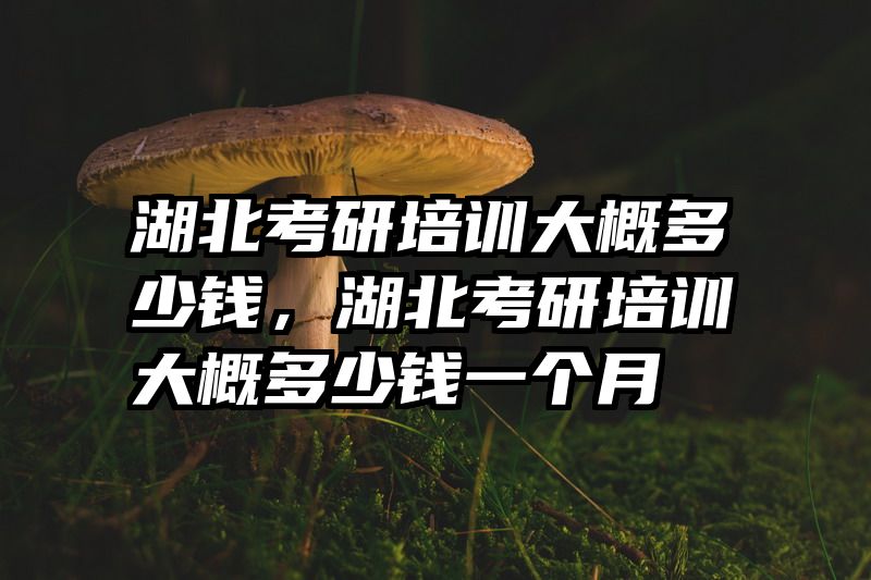 湖北考研培训大概多少钱,湖北考研培训大概多少钱一个月