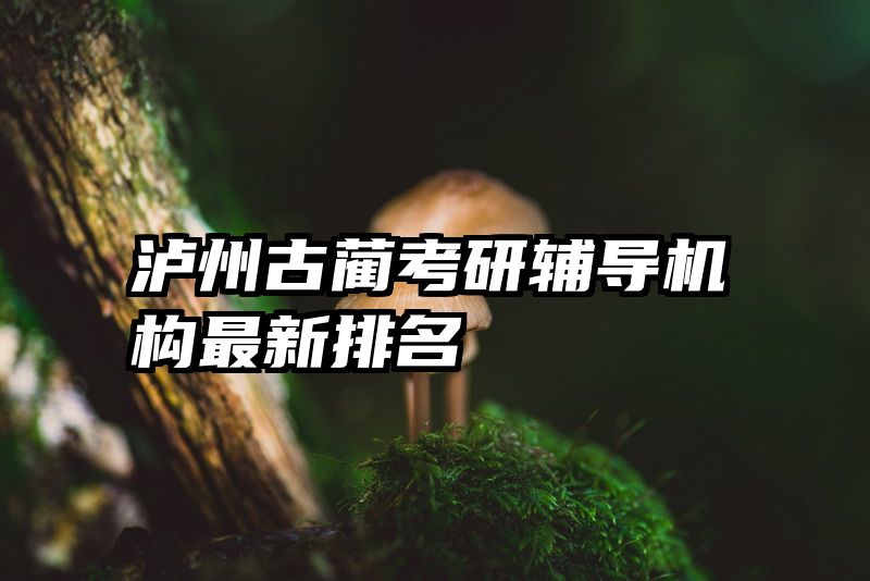 泸州古蔺考研辅导机构最新排名