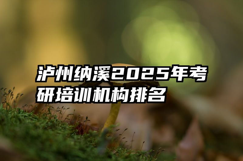 泸州纳溪2025年考研培训机构排名