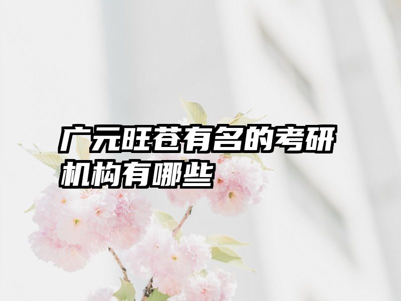 广元旺苍有名的考研机构有哪些