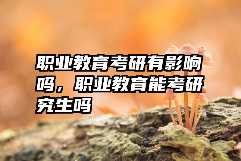 职业教育考研有影响吗，职业教育能考研究生吗