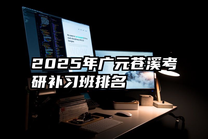2025年广元苍溪考研补习班排名