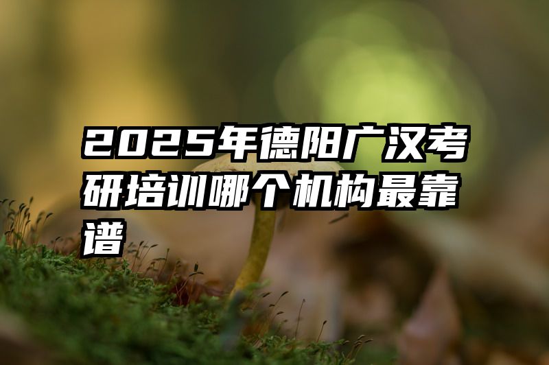 2025年德阳广汉考研培训哪个机构最靠谱