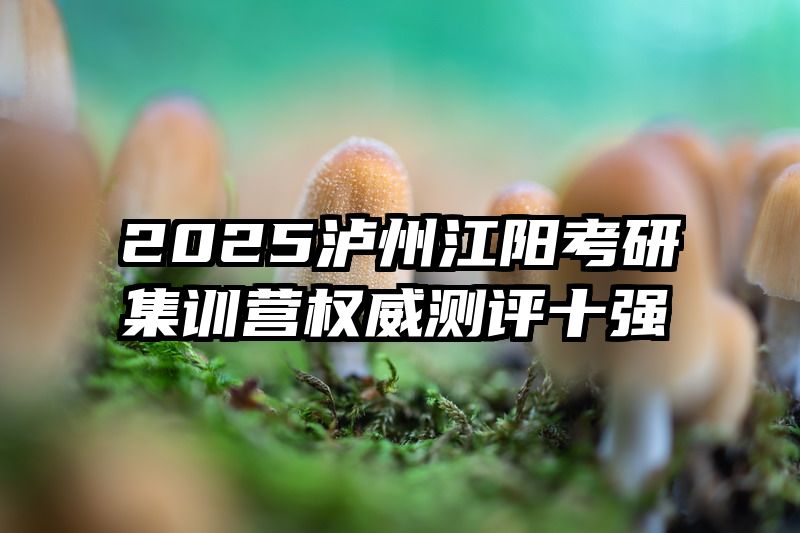 2025泸州江阳考研集训营权威测评十强