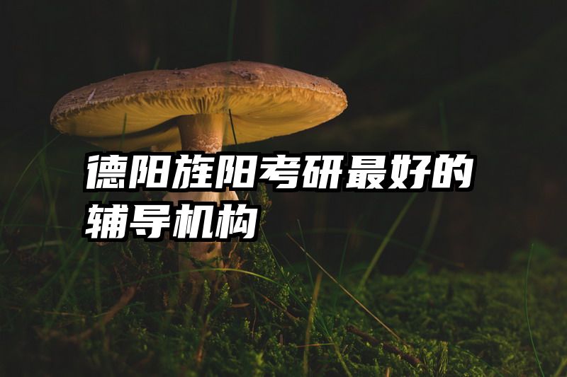德阳旌阳考研最好的辅导机构