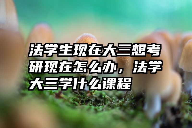 法学生现在大三想考研现在怎么办,法学大三学什么课程