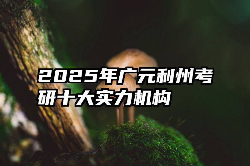 2025年广元利州考研十大实力机构