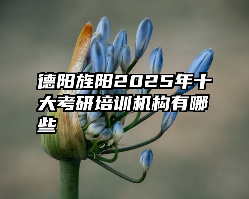 德阳旌阳2025年十大考研培训机构有哪些