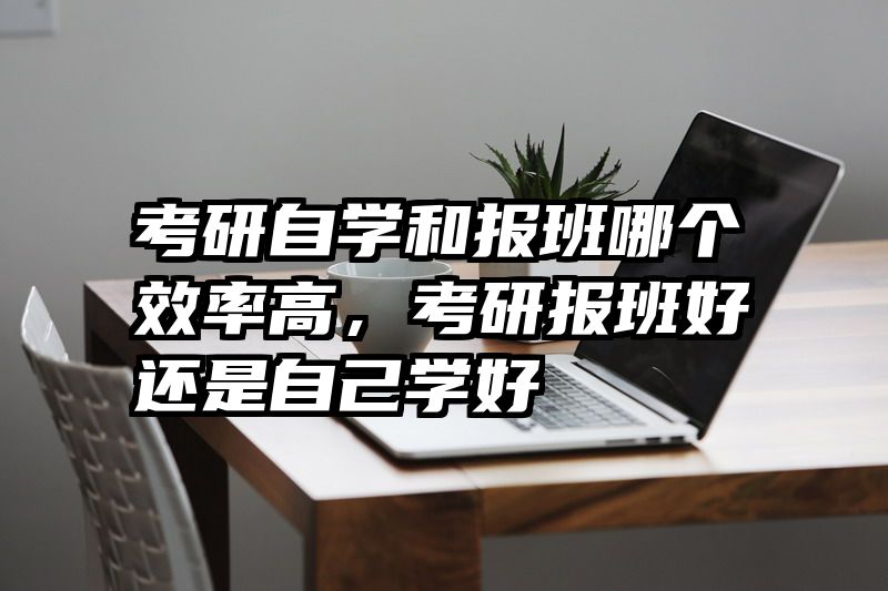 考研自学和报班哪个效率高，考研报班好还是自己学好