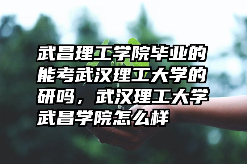 武昌理工学院毕业的能考武汉理工大学的研吗，武汉理工大学武昌学院怎么样
