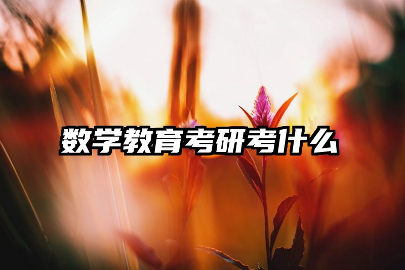 数学教育考研考什么