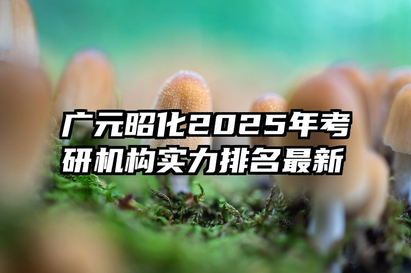 广元昭化2025年考研机构实力排名最新