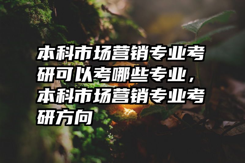 本科市场营销专业考研可以考哪些专业,本科市场营销专业考研方向