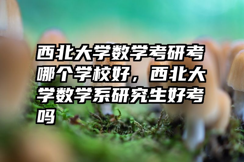 西北大学数学考研考哪个学校好,西北大学数学系研究生好考吗